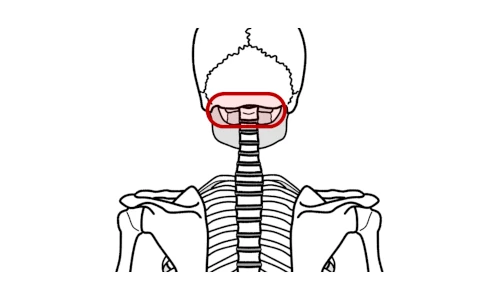 首から後頭部で感じる首の痛み
