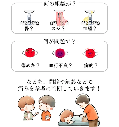 首の痛みについて