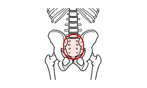 骨盤の真ん中で感じる骨盤の痛み