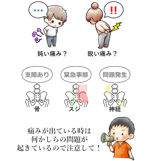 骨盤の痛みについて